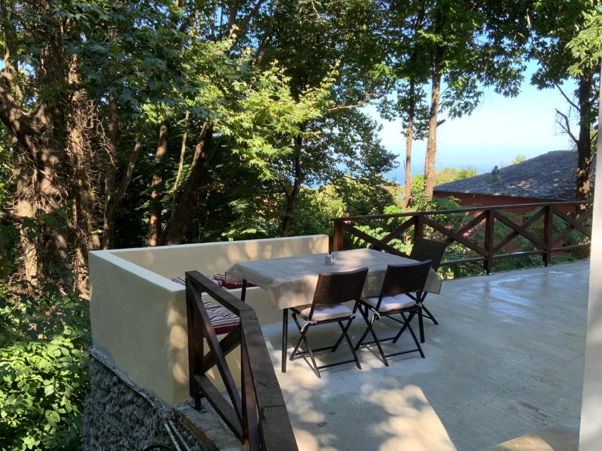 Villa Pelion 7 Lives Tsagkarada Exterior foto