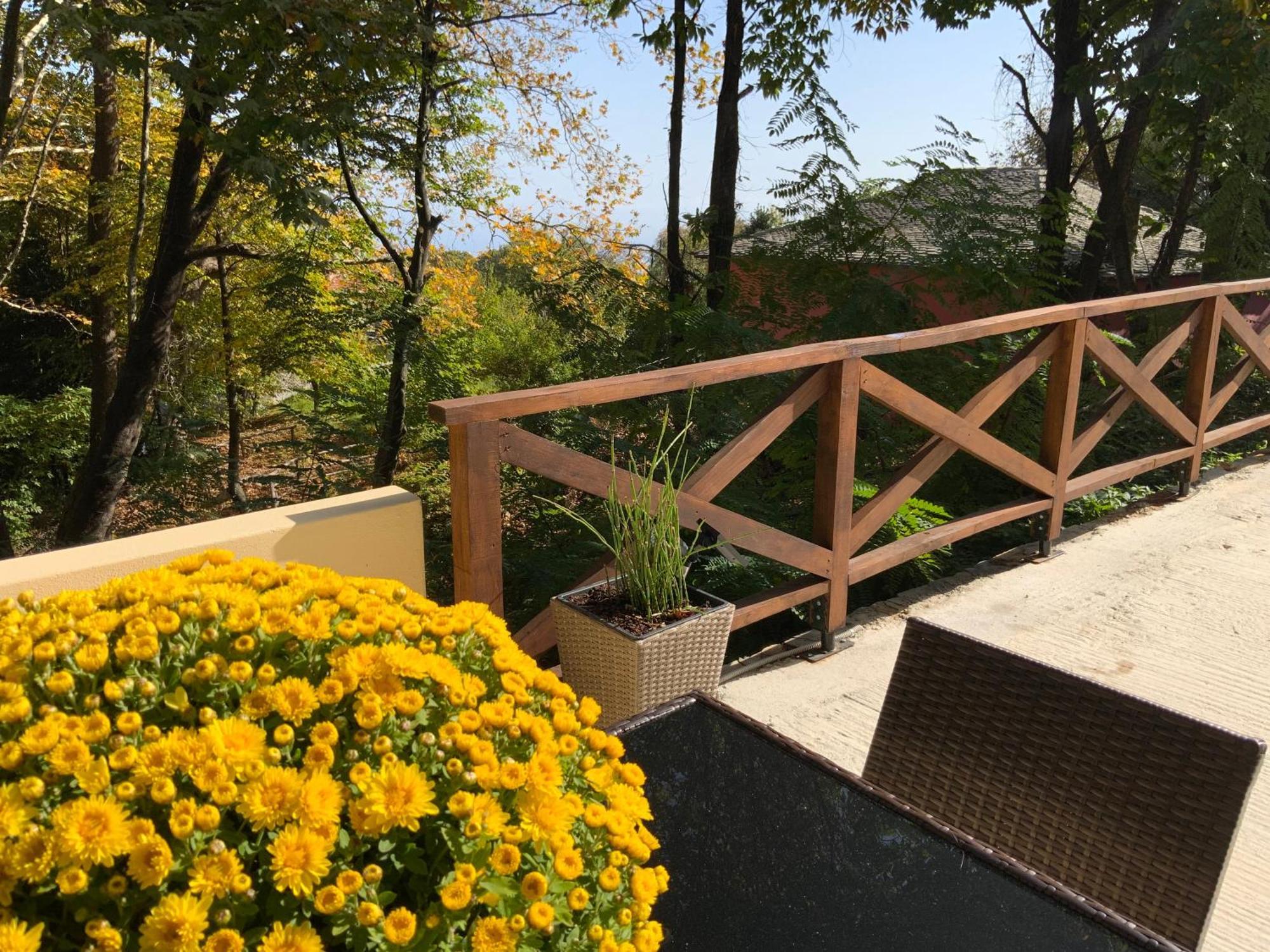 Villa Pelion 7 Lives Tsagkarada Exterior foto